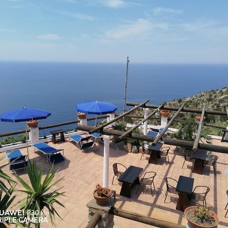 Hotel Punto Azzurro Форио Экстерьер фото