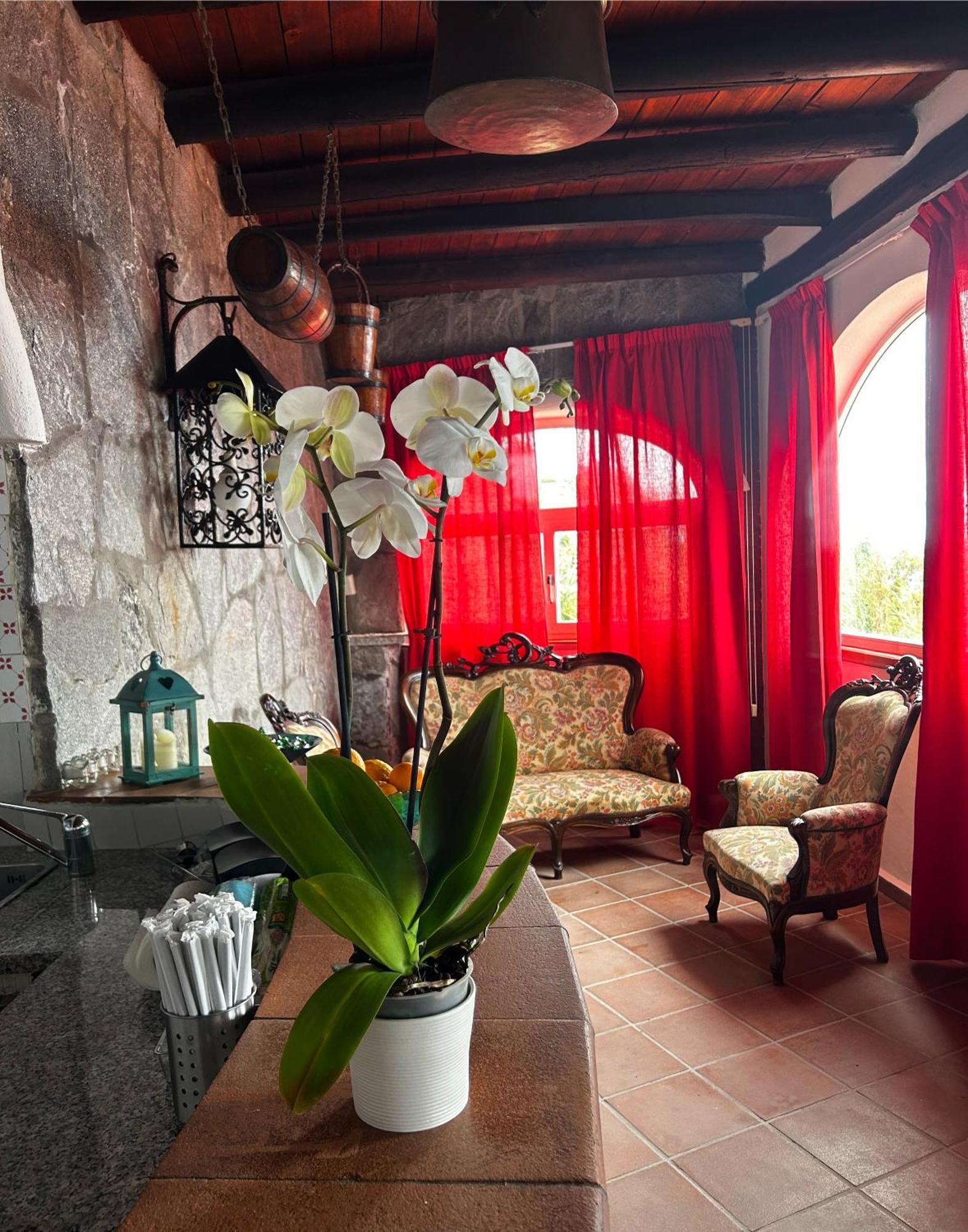 Hotel Punto Azzurro Форио Экстерьер фото
